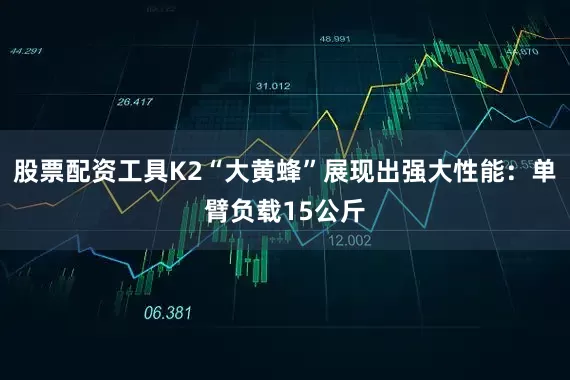 股票配资工具K2“大黄蜂”展现出强大性能：单臂负载15公斤
