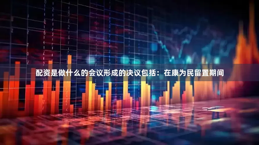 配资是做什么的会议形成的决议包括：在康为民留置期间