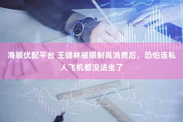 海顺优配平台 王健林被限制高消费后，恐怕连私人飞机都没法坐了
