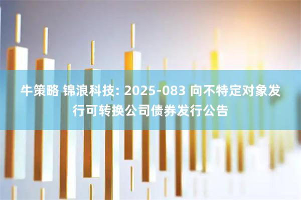 牛策略 锦浪科技: 2025-083 向不特定对象发行可转换公司债券发行公告