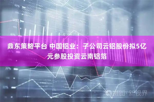 鼎东策略平台 中国铝业：子公司云铝股份拟5亿元参股投资云南铝箔