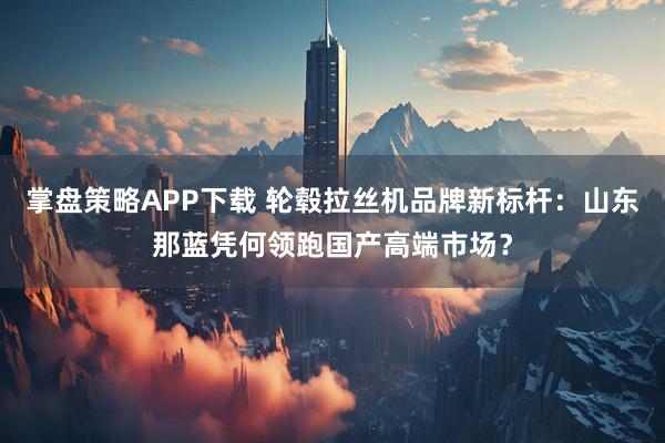 掌盘策略APP下载 轮毂拉丝机品牌新标杆：山东那蓝凭何领跑国产高端市场？